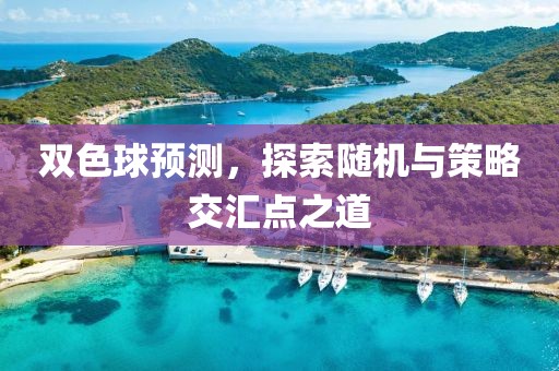 双色球预测，探索随机与策略交汇点之道