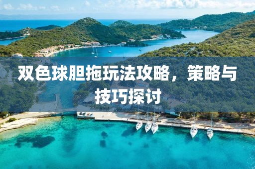 双色球胆拖玩法攻略，策略与技巧探讨