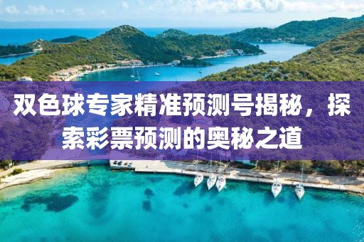 双色球专家精准预测号揭秘，探索彩票预测的奥秘之道