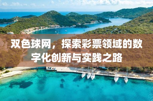 双色球网，探索彩票领域的数字化创新与实践之路